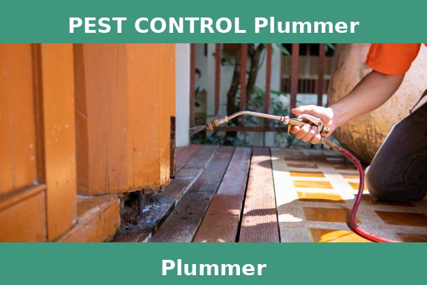PEST CONTROL Plummer